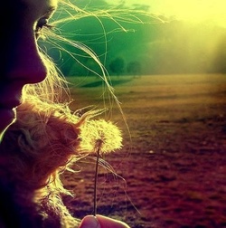 В чем разница между надеждой и верой?